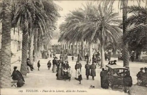 Ak Toulon Var, Place de la Liberte, Allee des Palmiers