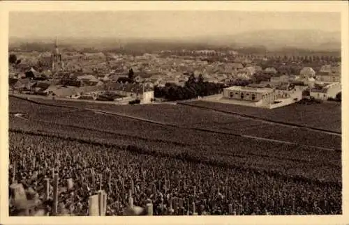 Ak Reims Marne, Weingut Ay, Premier Cru aus schwarzen Trauben