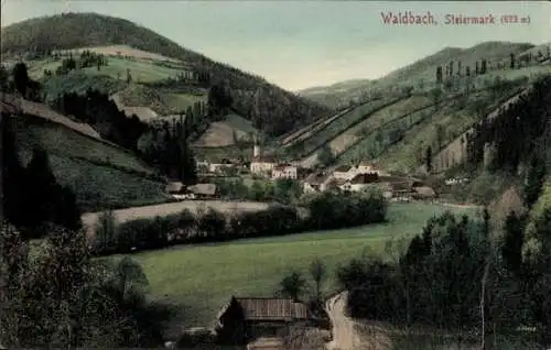 Ak Waldbach Steiermark, Ort mit Umgebung