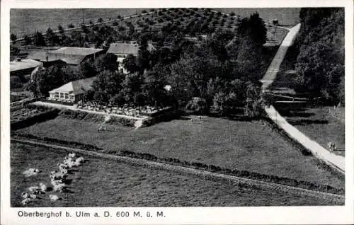 Ak Oberberghof Ulm an der Donau, Fliegeraufnahme