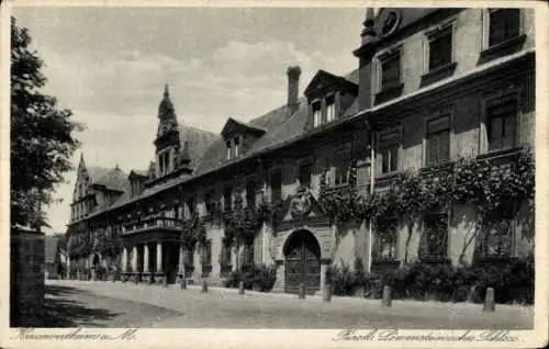 Ak Kreuzwertheim in Unterfranken, Fürstliches Löwensteinisches Schloss