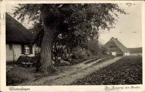 Ak Weitenhagen bei Greifswald, Am Ausgang des Dorfes