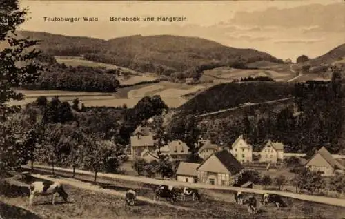 Ak Berlebeck Detmold im Teutoburger Wald, Hangstein, Kühe am Hang, Ort, Umgebung