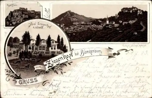 Litho Blankenburg am Harz, Gesamtansicht, Regenstein, Hotel Ziegenkopf