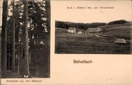 Ak Schollach Eisenbach im Schwarzwald, Waldpartie aus dem Gfellwald, Gfellhof