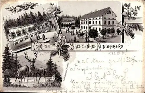 Litho Klingenberg im Erzgebirge Sachsen, Dresdner Sommerheim, Sachsenhof, Hirsche