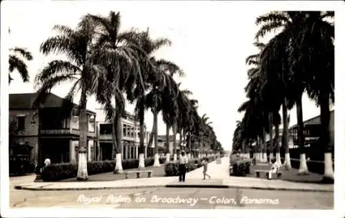 Foto Ak Colón Panama, Royal Palms on Broadway