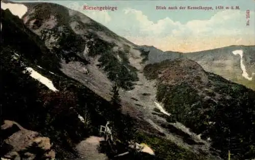 Ak Riesengebirge, Blick nach der Kesselkoppe