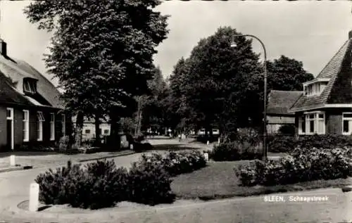 Ak Sleen Drenthe Niederlande, Schafregion