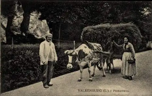 Ak Valkenburg aan de Geul Limburg Niederlande, Plenkertweg, Rind mit Heuballen, Bauern