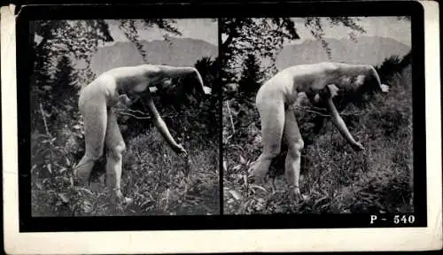 Stereo Foto Frauenakt in der Natur, gebeugt stehend, P-540