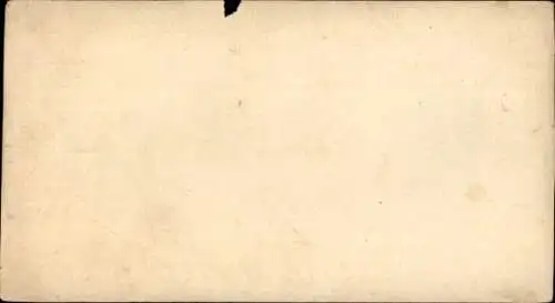 Stereo Ak Zwei Nackte Frauen, Schleier, Wiese, Erotik