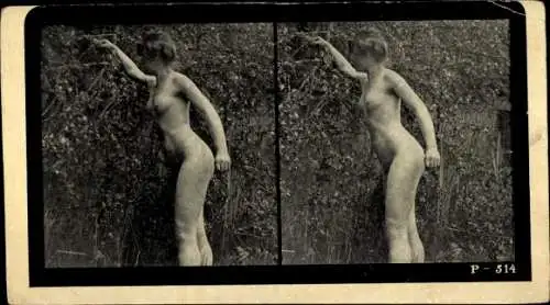 Stereo Foto Frauenakt, stehend in der Natur, P-514