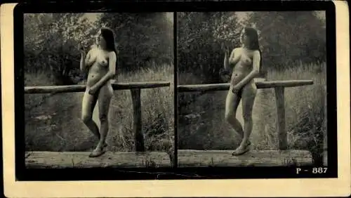 Stereo Foto Ak Nackte Frau, Brücke,Frauenakt