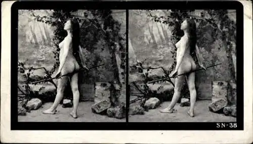 Stereo Foto Ak Nackte Frau, Frauenakt, Rückansicht