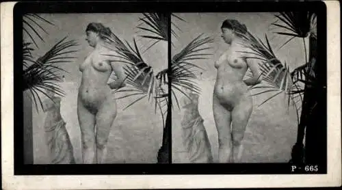 Stereo Foto Nackte Frau, Frauenakt, Busen, Pflanze, Venus von Milo