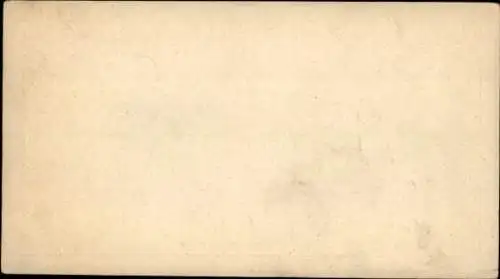 Stereo Foto Nackte Frau, Frauenakt, Busen, Pflanze, Venus von Milo