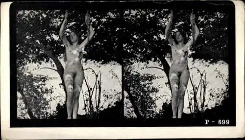 Stereo Foto Frauenakt, in der Natur stehend, P-599