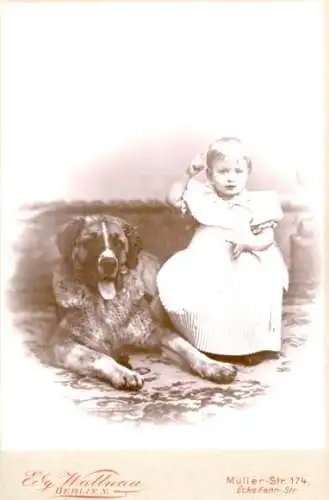 CdV Kinderportrait, Kleinkind mit Hund