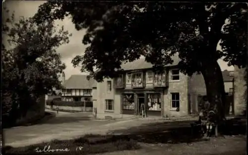 Ak Selborne Hampshire England, Gebäude, Geschäft