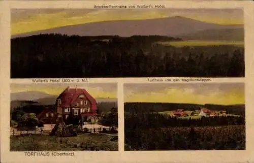 Ak Torfhaus Altenau Schulenberg Clausthal Zellerfeld im Oberharz, Brockenpanorama von Wulfert'...