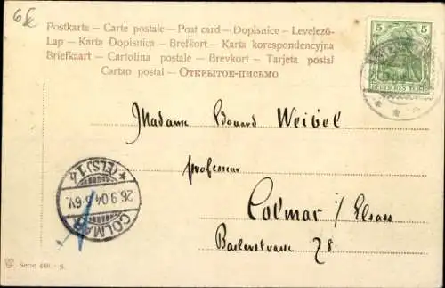 Ak Pferde und Rinder an einem Gewässer, Landschaftsansicht, Trenkler 446 8