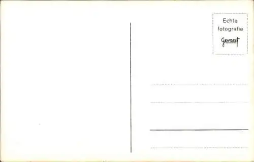 Ak Portrait einer Bulldogge, Hundestudie, Gesicht