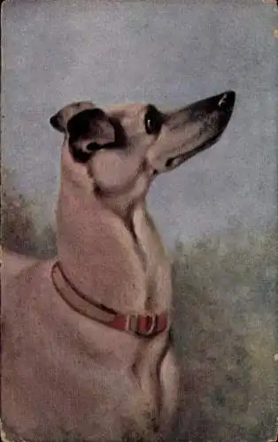 Ak Hundeportrait, Chicoree a la Menagere