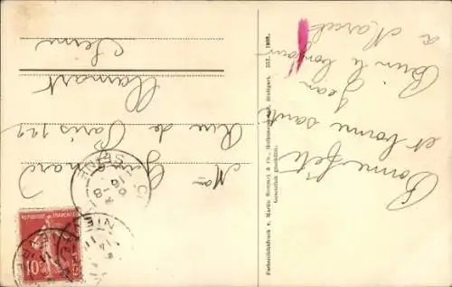 Ak Zwei Maikäfer auf einem Birkenast