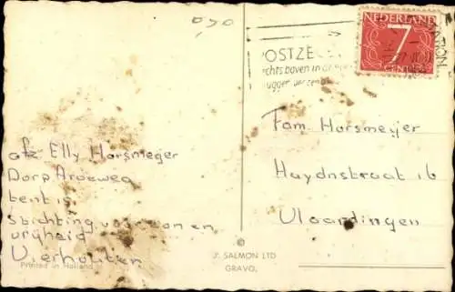 Ak Rehkitz in der freien Wildbahn