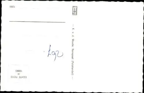 Ak Edelhirsch, Portrait in der Natur