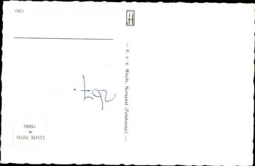 Ak Edelhirsch mit Hirschkuh und Kalb