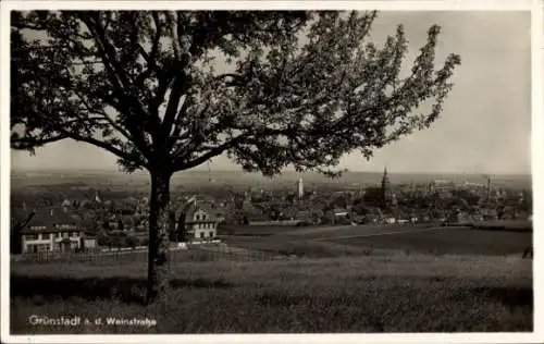 Ak Grünstadt an der Weinstraße Pfalz, Totalansicht