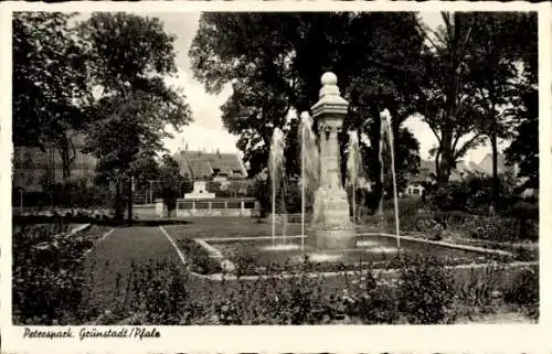 Ak Grünstadt an der Weinstraße Pfalz, Peterspark, Brunnen