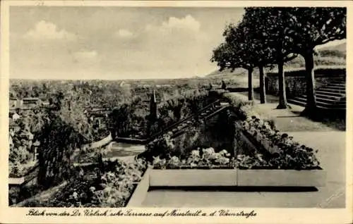 Ak Neustadt an der Weinstraße, Totalansicht, Blick von der Welsch'schen Terrasse