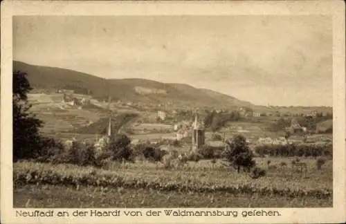 Ak Neustadt an der Haardt Neustadt an der Weinstraße, Blick von Waldmannsburg