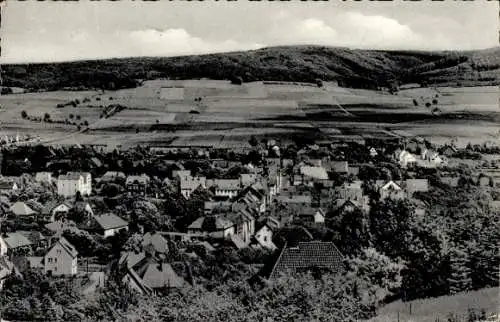 Ak Rodenberg am Deister in Schaumburg, Gesamtansicht