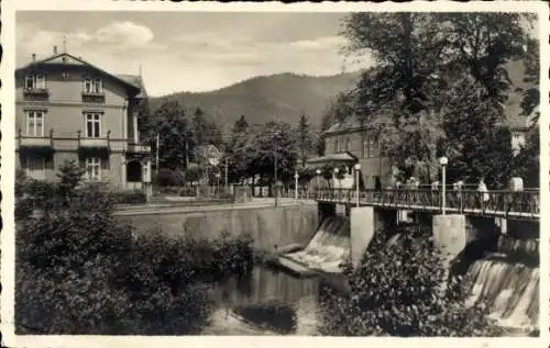 Ak Bad Lauterberg im Harz, Kurpark