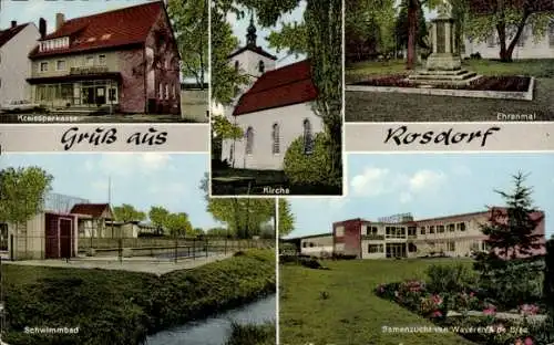 Ak Rosdorf in Niedersachsen, Kirche, Ehrenmal, Samenzucht, Schwimmbad, Kreissparkasse