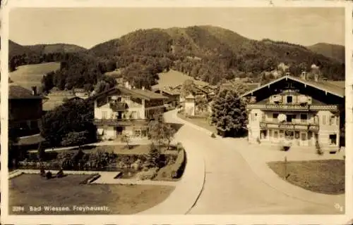 Ak Bad Wiessee in Oberbayern, Freyhausstraße