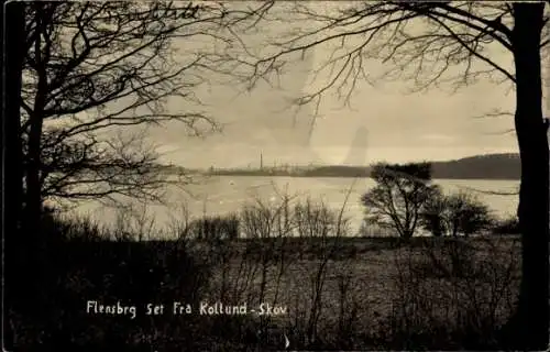 Ak Flensburg in Schleswig Holstein, Set Fra Kollund-Skov, Panorama