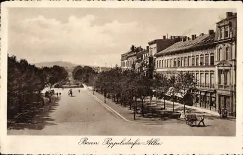 Ak Bonn am Rhein, Poppelsdorfer Allee