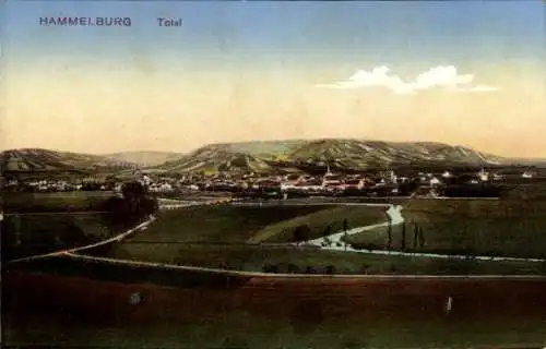 Ak Hammelburg in Unterfranken Bayern, Panorama