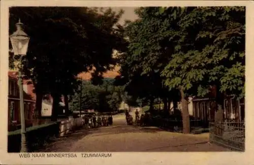 Ak Tzummarum Fryslân Niederlande, Straße nach Minnertsga