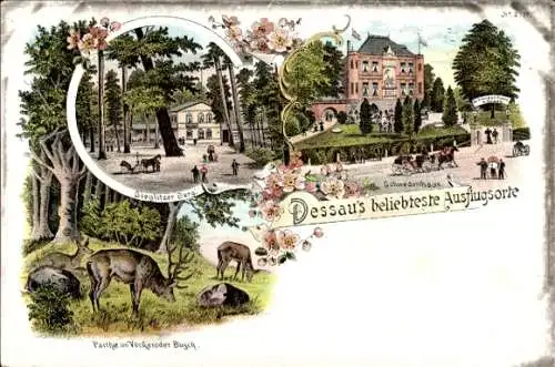 Litho Dessau, Ausflugsorte, Schwedenhaus, Sieglitzer Berg, Vockeroder Busch, Hirsche