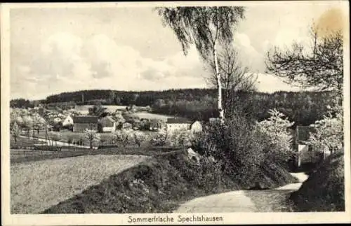 Ak Spechtshausen Hartha Hintergersdorf Tharandt im Erzgebirge, Gesamtansicht