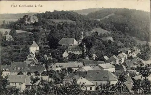 Ak Bad Gottleuba in Sachsen, Panorama