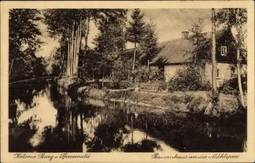 Ak Burg im Spreewald, Bauernhaus an der Mühlspree