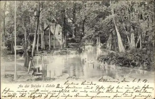 Ak Lehde Lübbenau im Spreewald, An der Dolzke