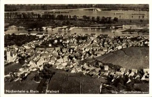 Ak Nackenheim am Rhein, Fliegeraufnahme